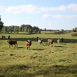Mazurski Dworek Przy Jeziorze Pansiyon