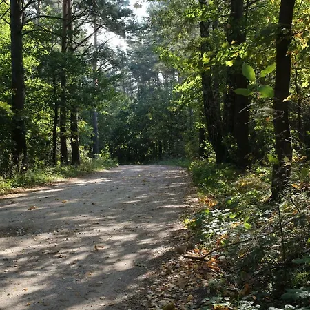 Mazurski Dworek Przy Jeziorze * Dworackie