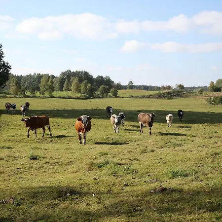 Mazurski Dworek Przy Jeziorze Homestay